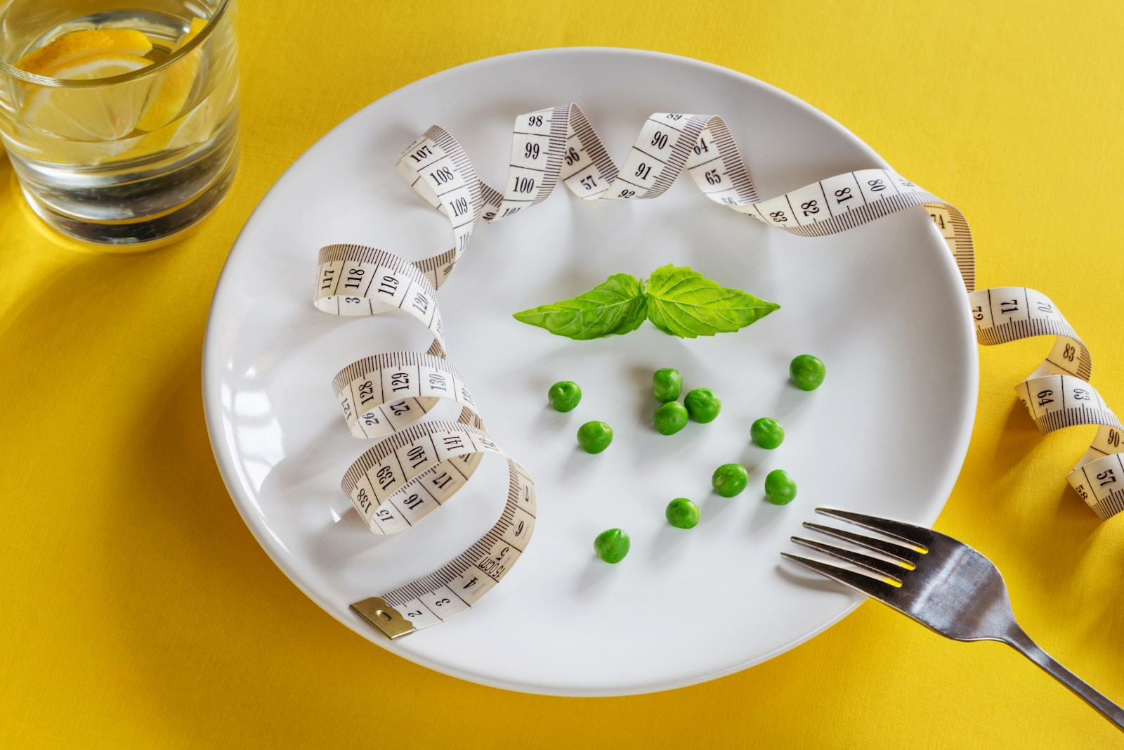 weight loss diet